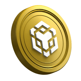 Página de la guía dirigida a traders principiantes sobre la criptomoneda BNB